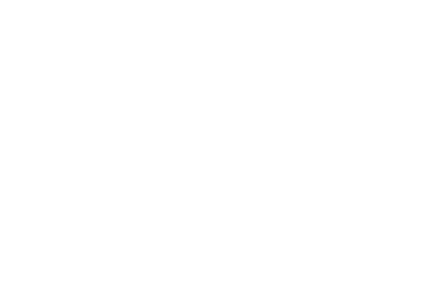 疯狂烤翅加盟